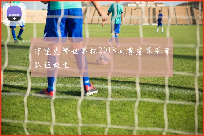 守望先锋世界杯2018决赛落幕冠军队伍诞生