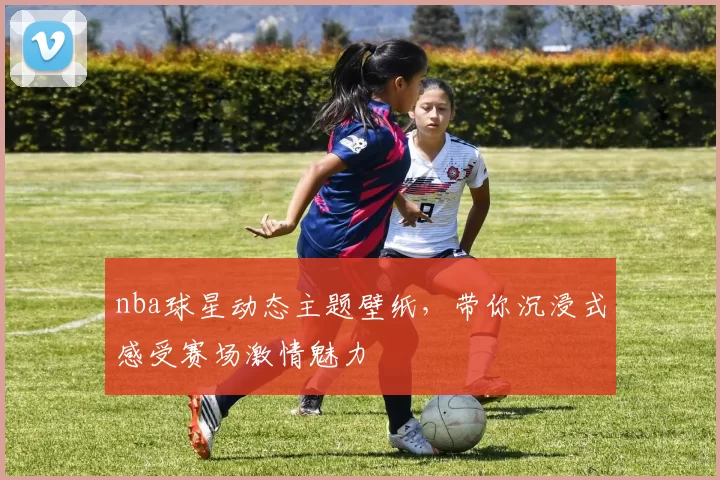 nba球星动态主题壁纸，带你沉浸式感受赛场激情魅力